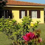 Mimosa Tropea Nyaraló Ricadi
