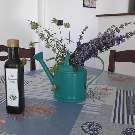 בית נופש Mimosa Tropea ריקאדי