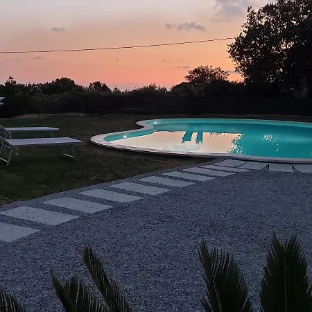 Mimosa Tropea * ריקאדי