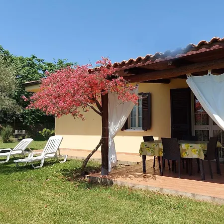 Mimosa Tropea ריקאדי