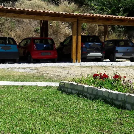 Mimosa Tropea * ריקאדי