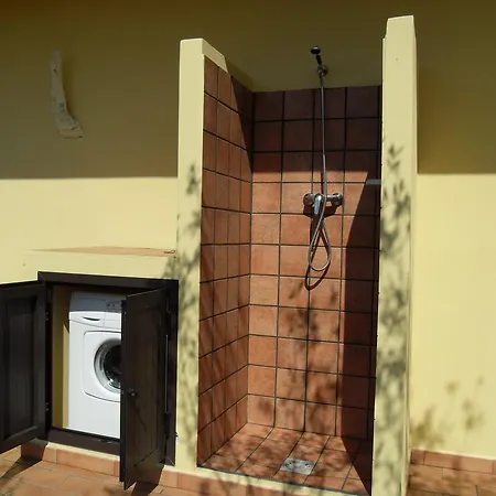 Mimosa Tropea ריקאדי