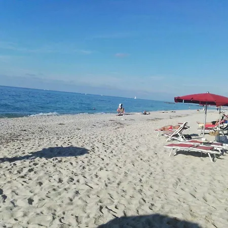 Mimosa Tropea ריקאדי