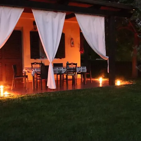 Mimosa Tropea Ricadi