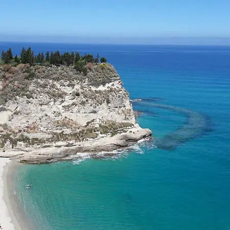 Mimosa Tropea *