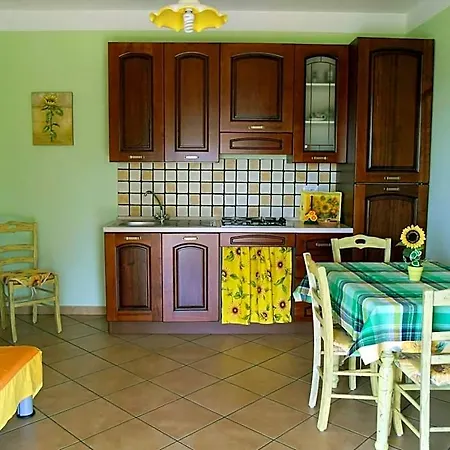 Mimosa Tropea *