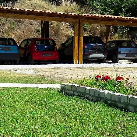 Mimosa Tropea *