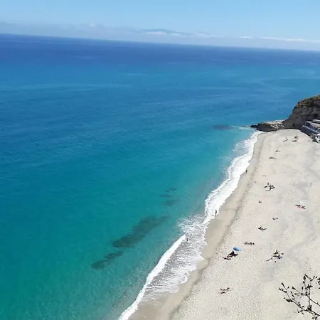 Mimosa Tropea * Ricadi