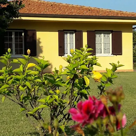 Mimosa Tropea Ferienhaus Ricadi